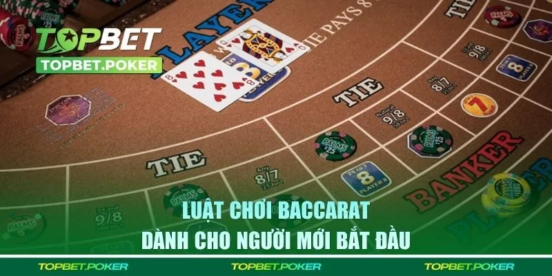 Luật chơi game bài cơ bản dành cho người mới bắt đầu