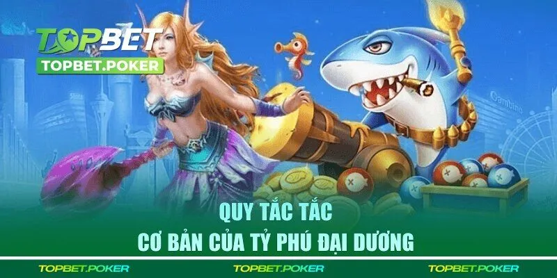 Các quy tắc khi tham gia cần nắm rõ