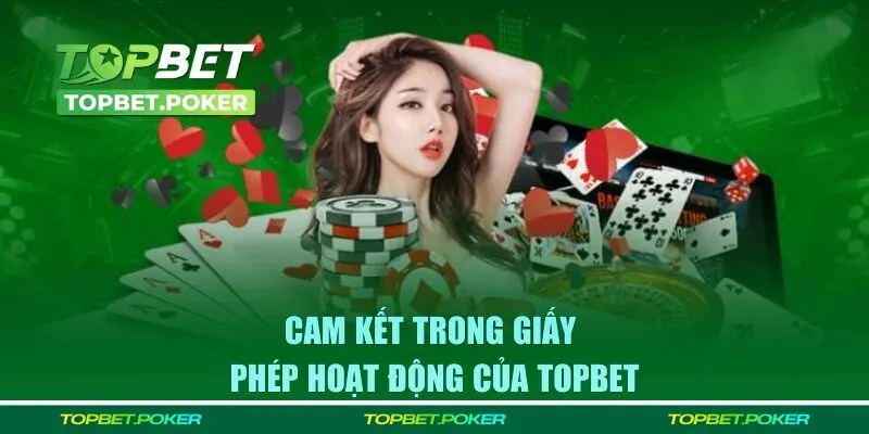 Cam kết hoạt động hợp pháp của nhà cái TOPBET