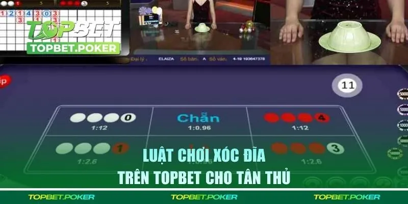 Luật chơi xóc đĩa trên TOPBET cho tân thủ chưa biết